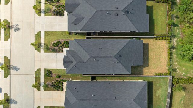 17786 Tree Of Heaven, Conroe, TX 77385