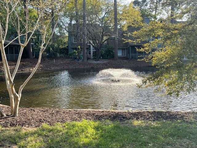 1103 Hidden Cove Drive Unit 69, Mount Pleasant, SC 29464