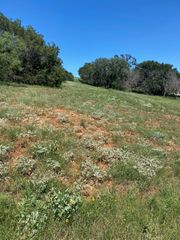 W25058 ApacheTears/White, Horseshoe Bay, TX 78657