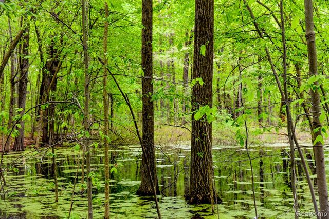 0 Michael Street, Ortonville, MI 48462