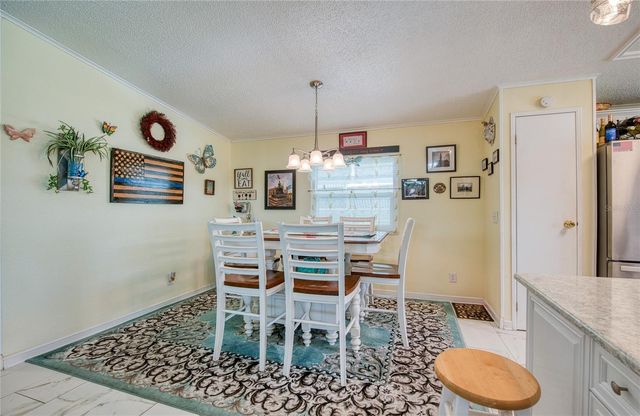 214 DOLPHIN DRIVE N, Oldsmar, FL 34677