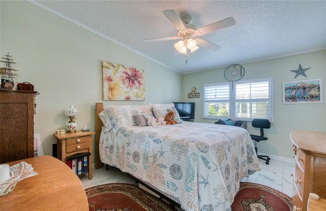 214 DOLPHIN DRIVE N, Oldsmar, FL 34677
