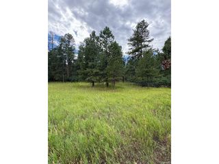 5028 Crow Dr, Larkspur, CO 80118