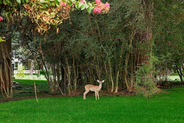 3134 Lake Island Drive, Montgomery, TX 77356