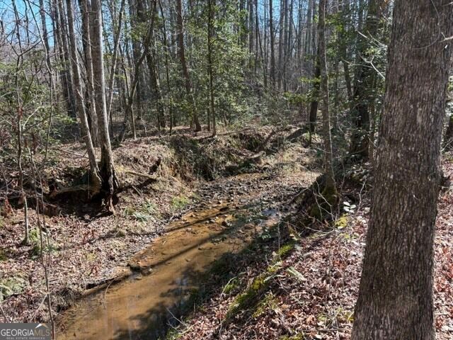 343 Hank Fry Road, Clarkesville, GA 30523