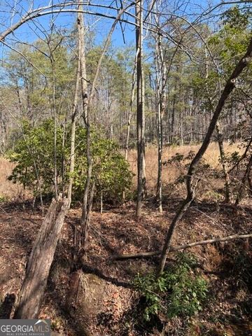 343 Hank Fry Road, Clarkesville, GA 30523