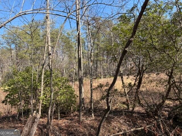 343 Hank Fry Road, Clarkesville, GA 30523