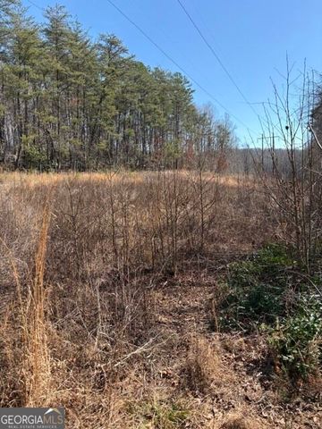 343 Hank Fry Road, Clarkesville, GA 30523