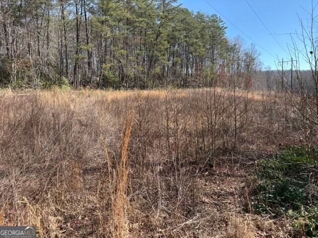 343 Hank Fry Road, Clarkesville, GA 30523