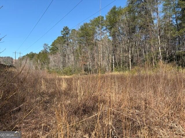 343 Hank Fry Road, Clarkesville, GA 30523