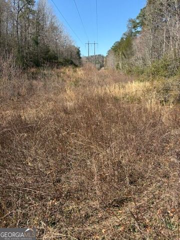 343 Hank Fry Road, Clarkesville, GA 30523