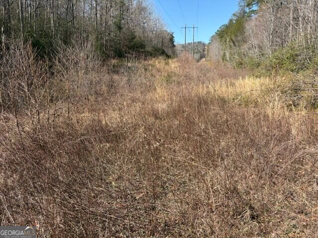 343 Hank Fry Road, Clarkesville, GA 30523