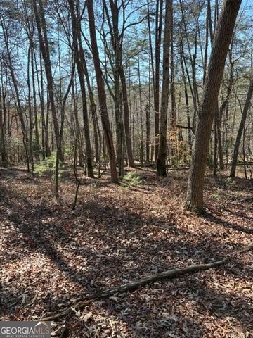 343 Hank Fry Road, Clarkesville, GA 30523