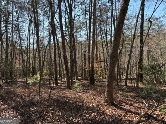 343 Hank Fry Road, Clarkesville, GA 30523
