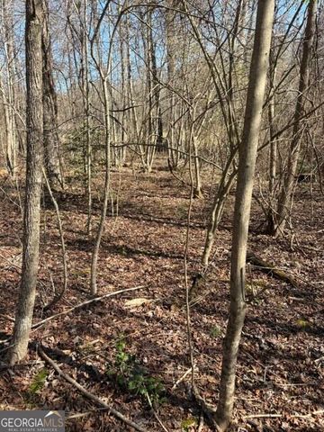 343 Hank Fry Road, Clarkesville, GA 30523