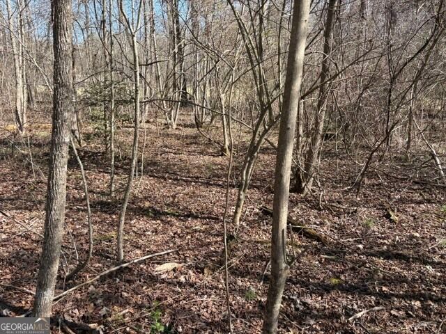 343 Hank Fry Road, Clarkesville, GA 30523