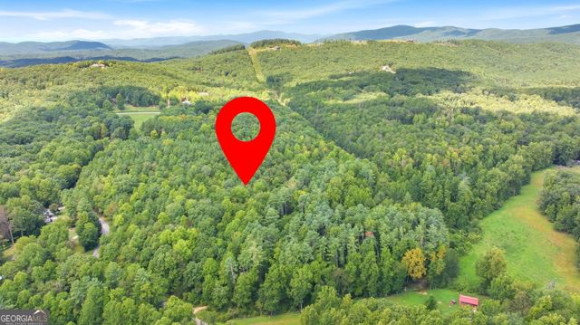 343 Hank Fry Road, Clarkesville, GA 30523