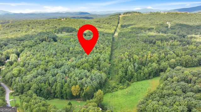 343 Hank Fry Road, Clarkesville, GA 30523