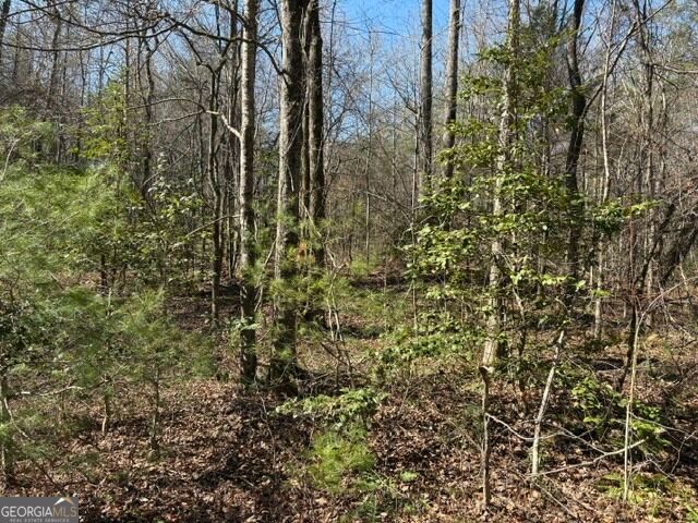 343 Hank Fry Road, Clarkesville, GA 30523