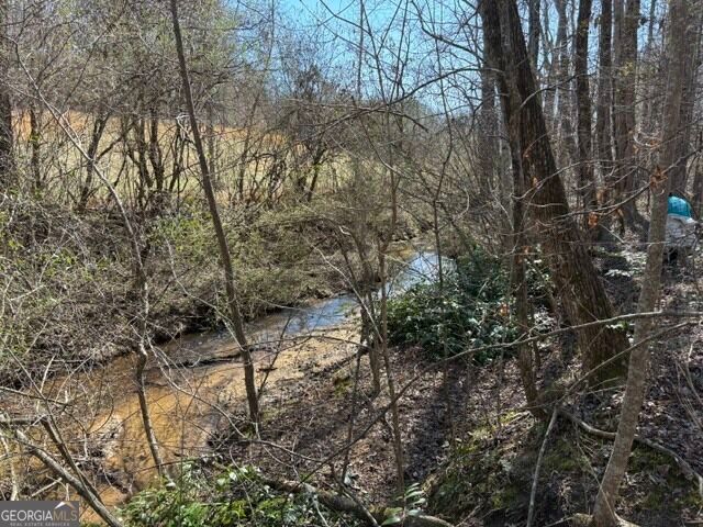 343 Hank Fry Road, Clarkesville, GA 30523