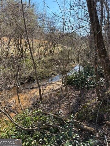 343 Hank Fry Road, Clarkesville, GA 30523