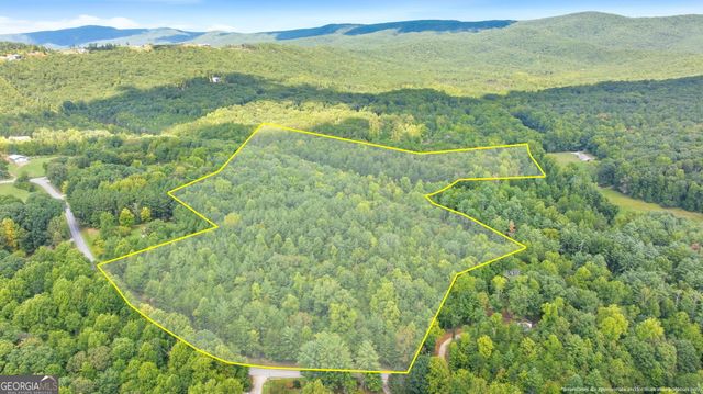 343 Hank Fry Road, Clarkesville, GA 30523