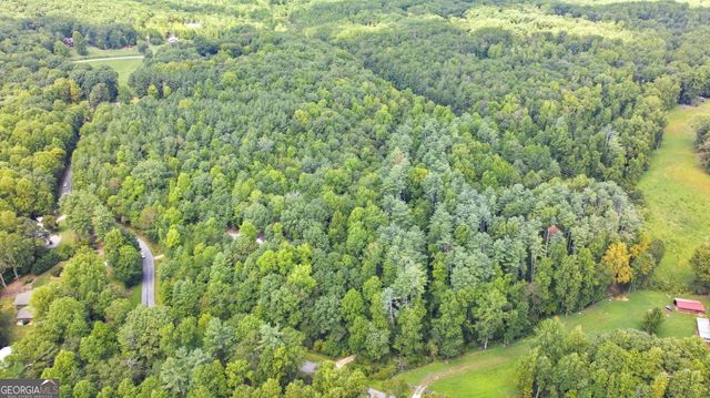343 Hank Fry Road, Clarkesville, GA 30523