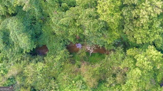 343 Hank Fry Road, Clarkesville, GA 30523