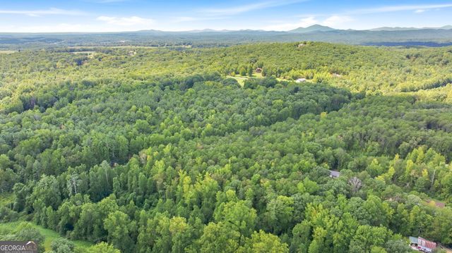 343 Hank Fry Road, Clarkesville, GA 30523