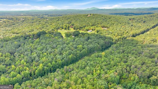 343 Hank Fry Road, Clarkesville, GA 30523