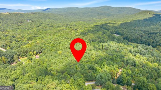 343 Hank Fry Road, Clarkesville, GA 30523