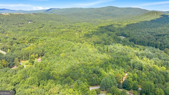 343 Hank Fry Road, Clarkesville, GA 30523