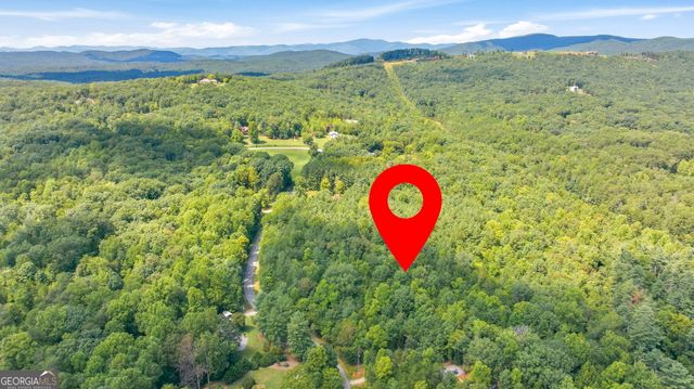 343 Hank Fry Road, Clarkesville, GA 30523