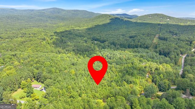 343 Hank Fry Road, Clarkesville, GA 30523