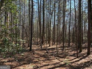 343 Hank Fry Road, Clarkesville, GA 30523