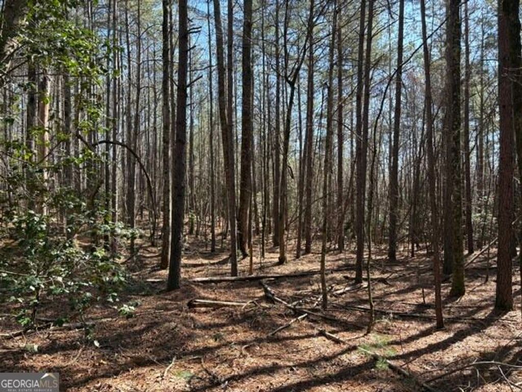 343 Hank Fry Road, Clarkesville, GA 30523
