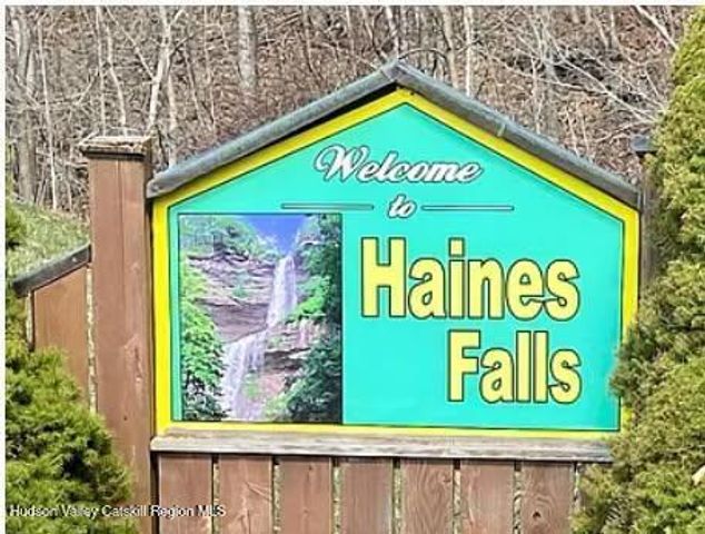 311 N Lake Road, Haines Falls, NY 12436