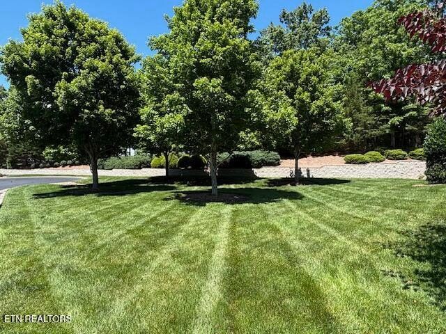 14 Heatherhurst Court, Crossville, TN 38558