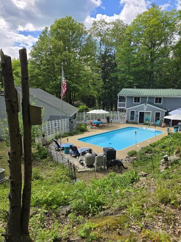 110 New Hampshire Drive, Webster, NH 03303