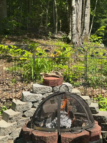 110 New Hampshire Drive, Webster, NH 03303