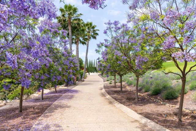 18245 Paseo Victoria, Rancho Santa Fe, CA 92067