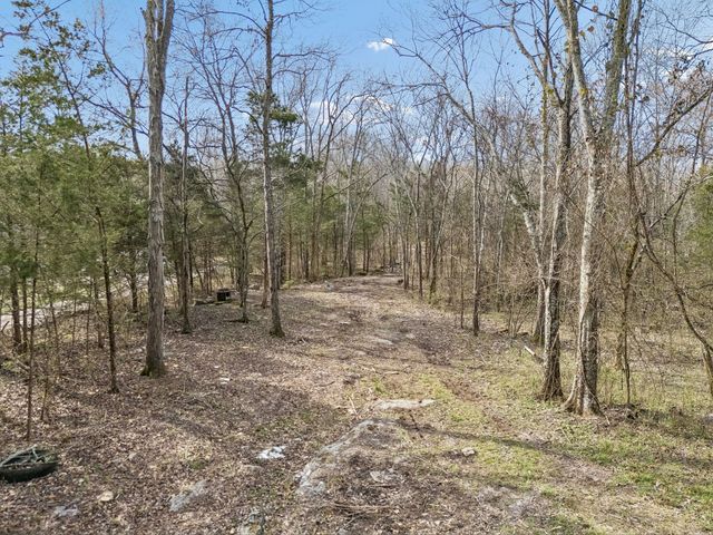 191 Gwin Pl, Mount Juliet, TN 37122