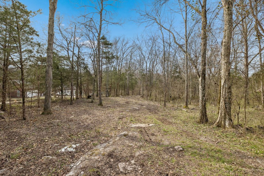 191 Gwin Pl, Mount Juliet, TN 37122