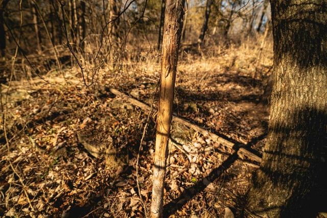 862 E 900 Road, Lawrence, KS 66047