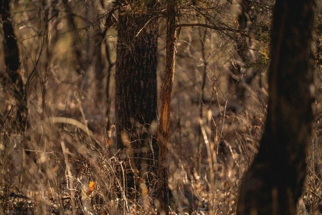 862 E 900 Road, Lawrence, KS 66047