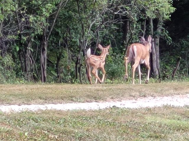 862 E 900 Road, Lawrence, KS 66047