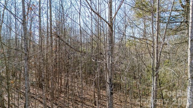 000 Eagles Nest Drive 8, Marion, NC 28752