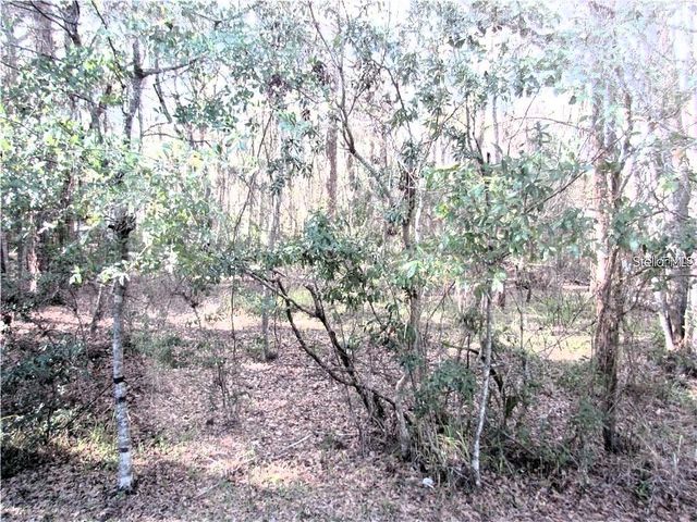4343 LAKESHORE DRIVE, Palm Harbor, FL 34685
