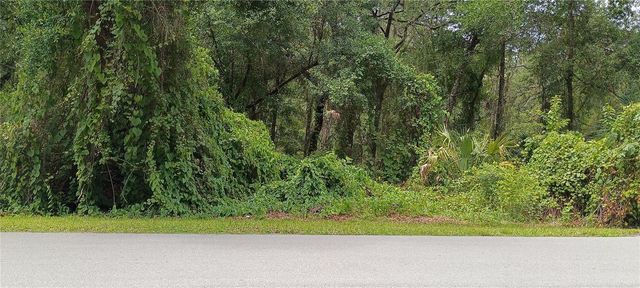 1876 BLACKWELDER ROAD, De Leon Springs, FL 32130