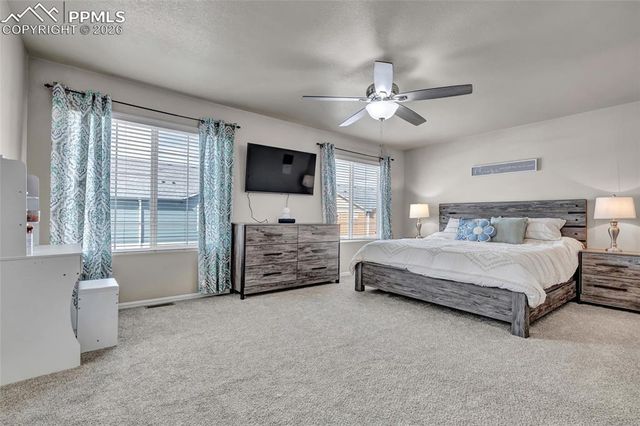 3091 Shikra View, Colorado Springs, CO 80916